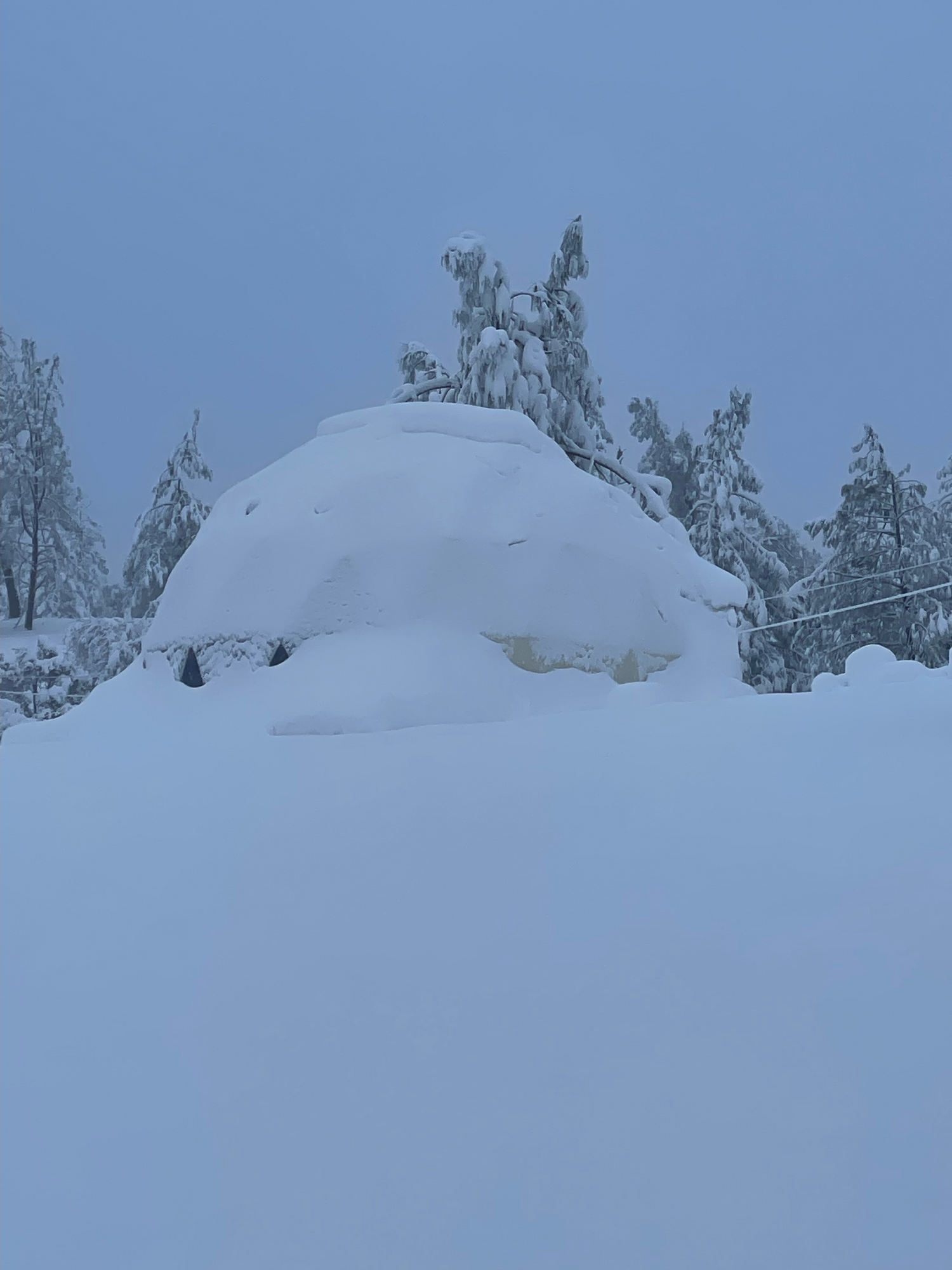 Alt text: "Snow-covered geodesic dome in a winter landscape, showcasing a durable and stylish glamping solution. Ideal for sustainable living, backyard offices, or luxury Airbnb setups. Explore our range of geodesic dome house kits and glamping pods for sale."